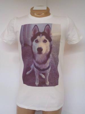 dtg shirt printing husky